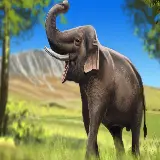 چاپ قاب موبایل و گوشی عکس فیل هندی با پس‌زمینه طبیعی
