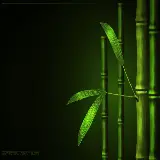 چاپ قاب موبایل و گوشی تصویر زمینه هنری بامبو با کیفیت Full HD برای دسکتاپ