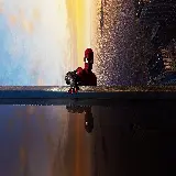 چاپ قاب موبایل و گوشی عکس پروفایل پسرانه مرد عنکبوتی Spider-Man با کیفیت اچ دی