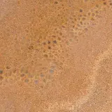 متریال سنگ اونیکس لیمویی قروه با کیفیت بالا و رزولوشن عالی