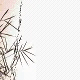 چاپ قاب موبایل و گوشی زیباترین عکس بامبو با کیفیت بالا برای موبایل و دسکتاپ