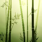 چاپ قاب موبایل و گوشی تصویر زمینه دسکتاپ بامبو با کیفیت Ultra HD و رزولوشن بالا