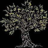 چاپ قاب موبایل و گوشی تصویر درخت زیتون با کیفیت بالا و فرمت PNG برای طراحی