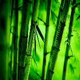 چاپ قاب موبایل و گوشی تصویر زمینه مینیمال بامبو با کیفیت Ultra HD برای دسکتاپ