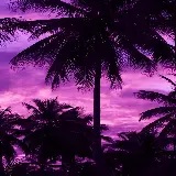 چاپ قاب موبایل و گوشی دلپذیرترین والپیپر نخل نئونی برای دانلود رایگان