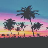 چاپ قاب موبایل و گوشی تماشایی ترین تصویر زمینه نخل نئونی برای دسکتاپ