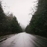 عکس جاده درخت‌دار در روز مه‌آلود برای تصویر زمینه