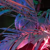 چاپ قاب موبایل و گوشی قشنگ ترین والپیپر نخل نئونی برای موبایل