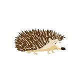 چاپ قاب موبایل و گوشی عکس خارپشت در حال حرکت با پس‌زمینه شفاف