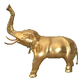 چاپ قاب موبایل و گوشی فیل واقعی PNG