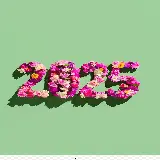 چاپ قاب موبایل و گوشی بک‌گراند عدد 2025 برای شبکه‌های اجتماعی