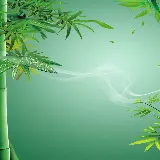 چاپ قاب موبایل و گوشی زیباترین تصویر زمینه بامبو با کیفیت 4K برای دانلود رایگان