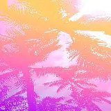 چاپ قاب موبایل و گوشی مینیمال ترین بک گراند نخل نئونی برای دانلود