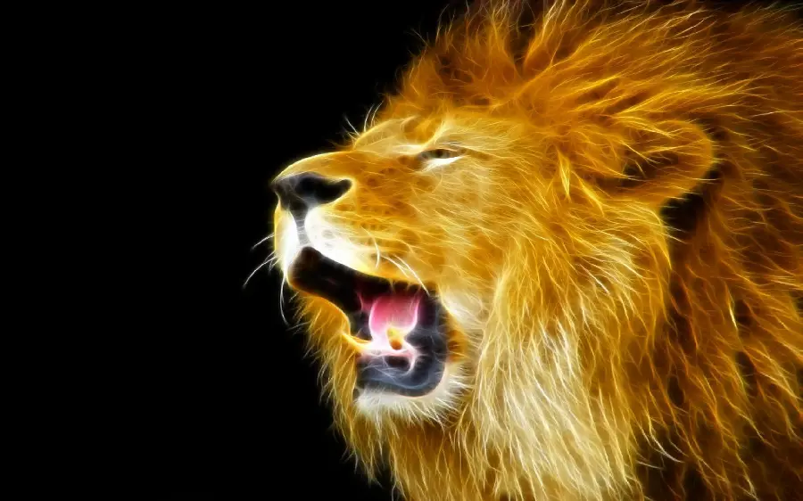 عکس بی نظیر شیر طلا با بک گراند مشکی و رزولوشن بالا