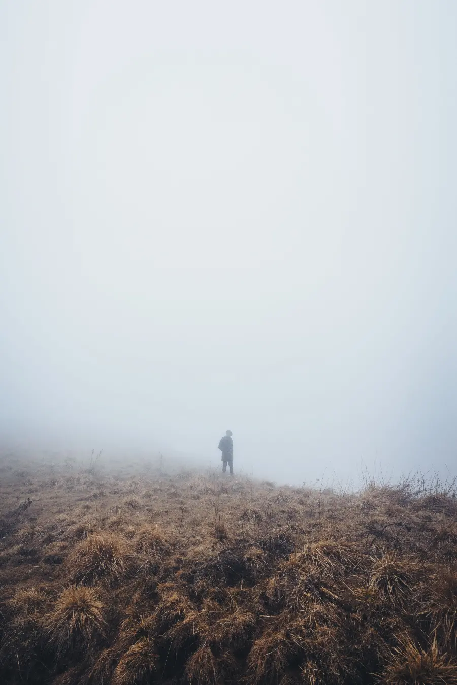 تصویر سیلوئت کوهنورد در دشت برای طراحی ماجراجویی