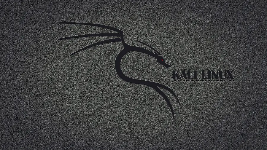 والپیپر اژدهای Kali Linux با کیفیت فول اچ دی