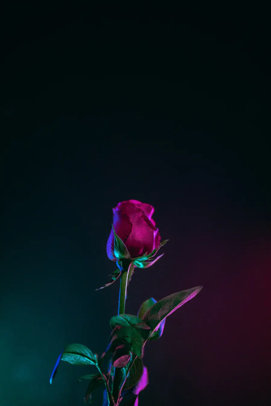 عکس والپیپر اندروید با طراحی مینیمال در کیفیت بالا
