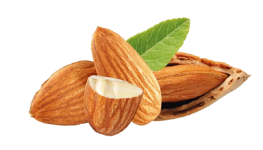عکس PNG بادام دوربری شده با کیفیت فوق العاده و رایگان