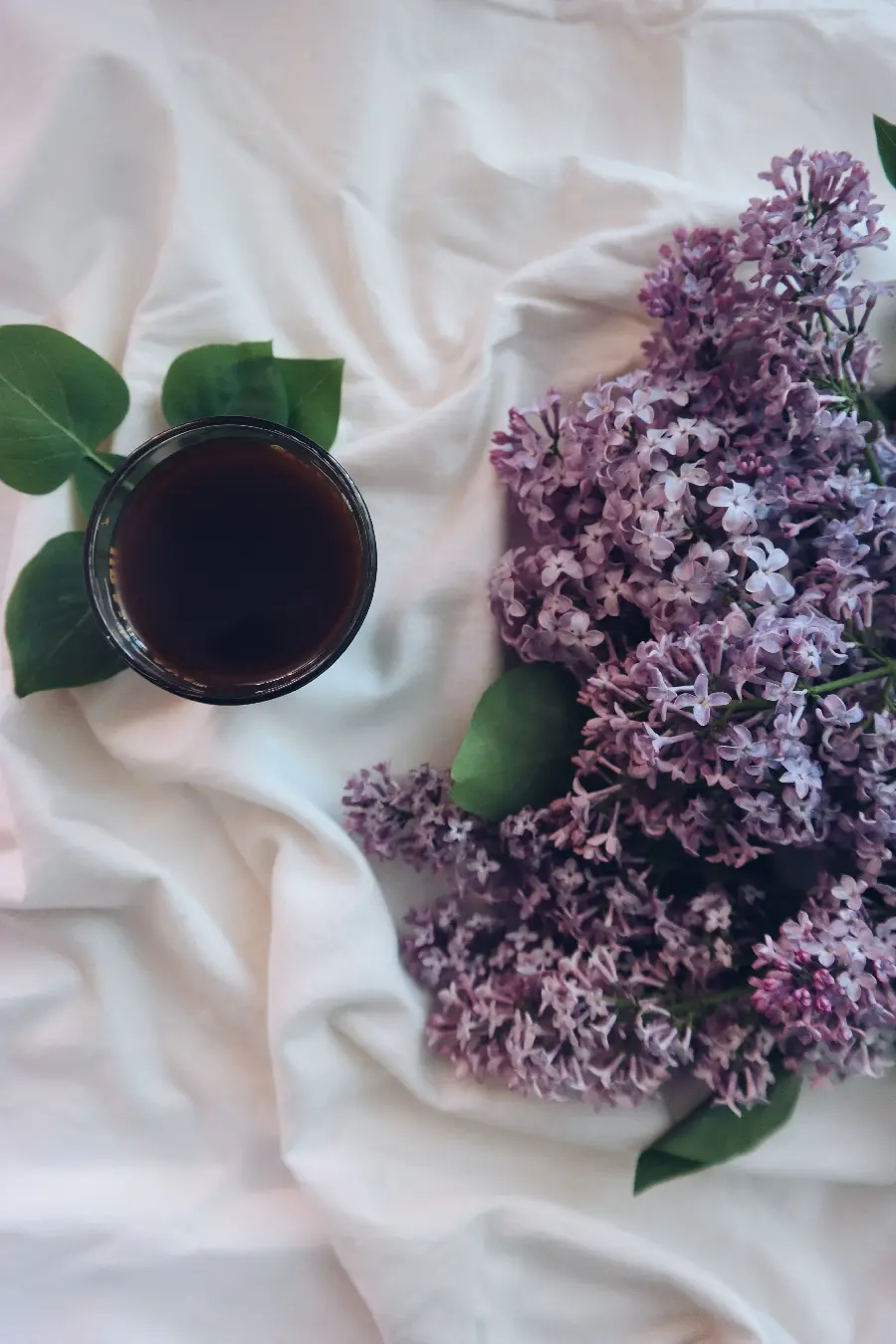 عکس قهوه سیاه گل بنفش بهاری و سوسن با کیفیت بالا