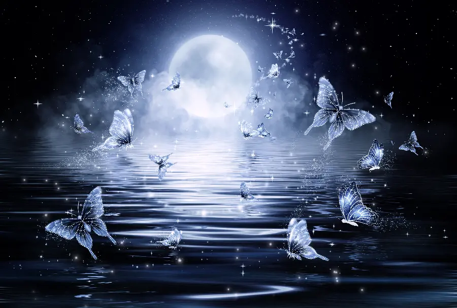 عکس پروانه و ماه با بک گراند شب و کیفیت بالا