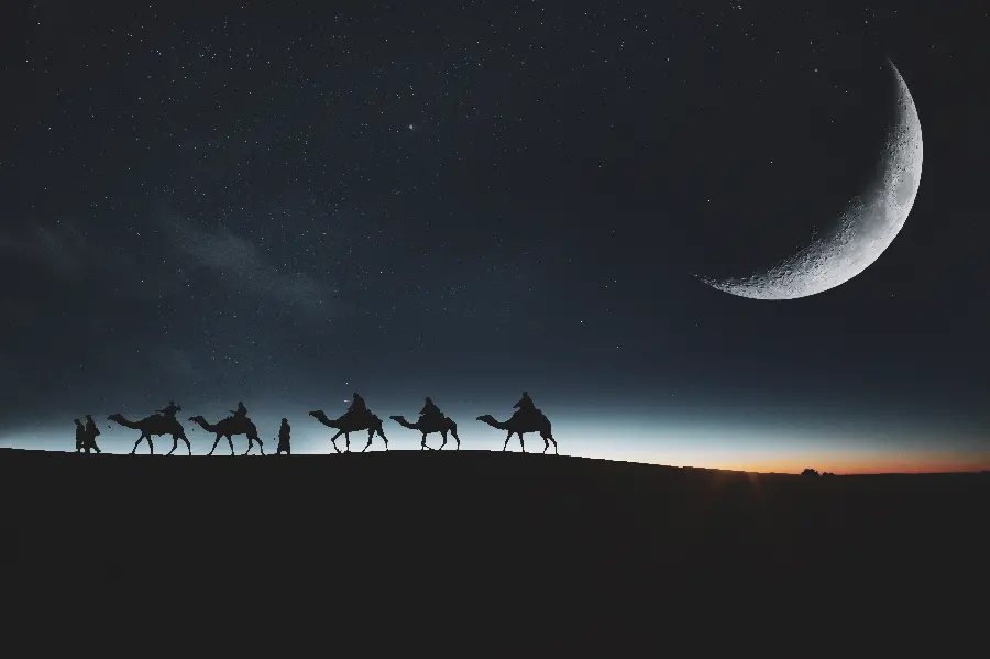 سیلوئت شترها در نور ماه با زمینه ستاره‌ای