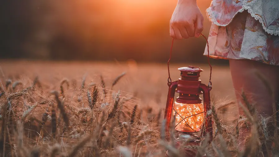 تصویر چراغ در میان علف‌ها با کیفیت بالا