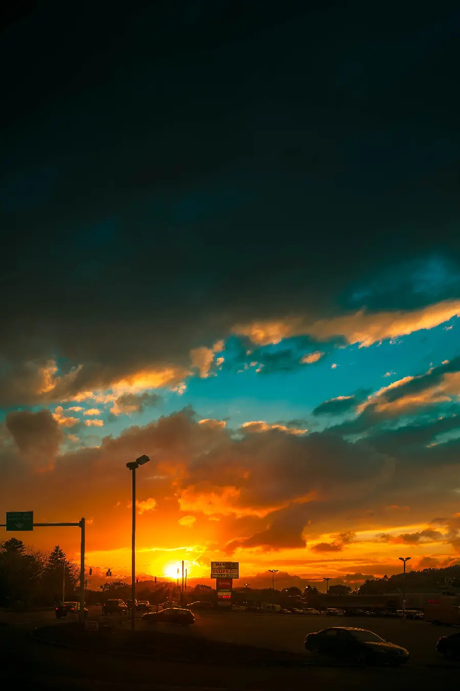تصویر زیبا از یک درخت تنومند در طبیعت با ابرهای سفید