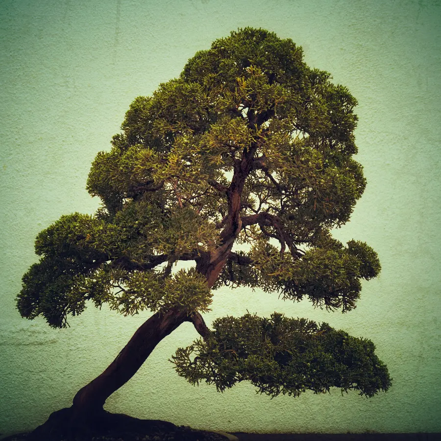 عکس منظره ژاپنی مینیمال با هوش مصنوعی در کیفیت اچ دی