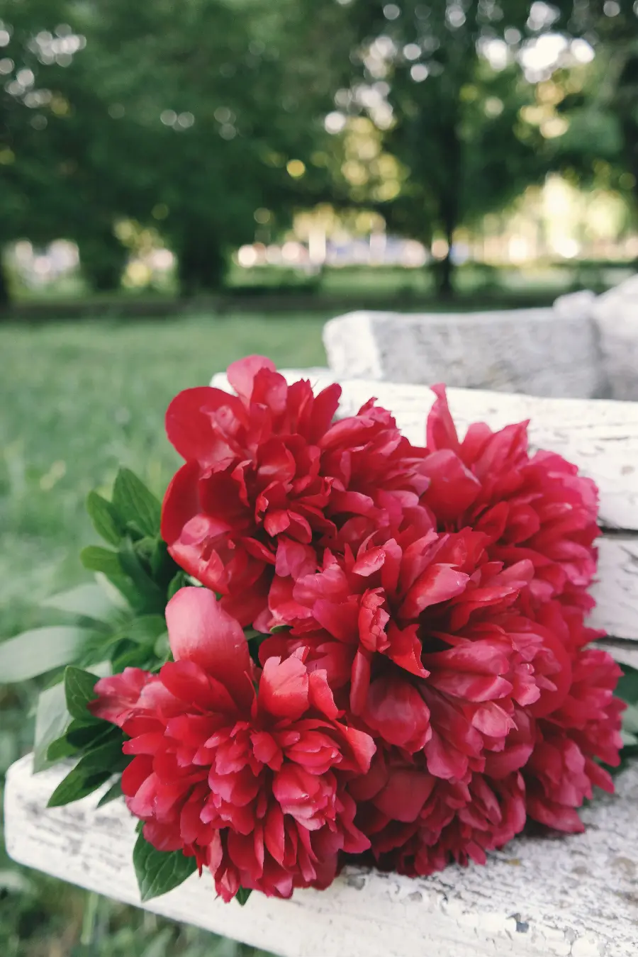 عکس گل های بهاری و دسته گل با کیفیت بالا و مناسب برای والپیپر