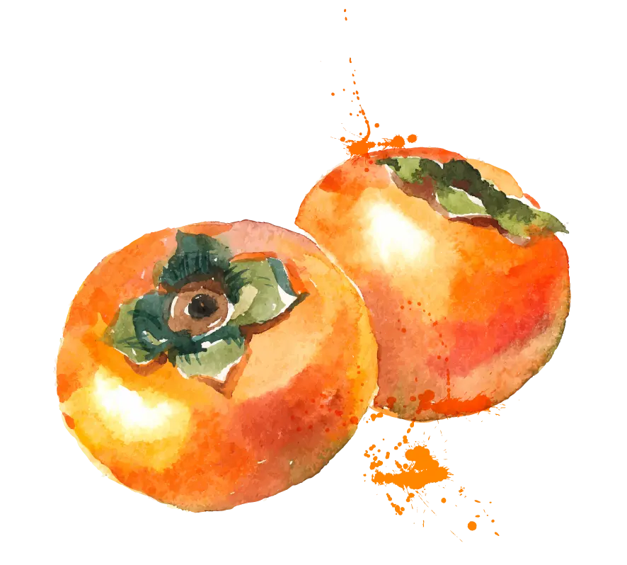 فوق العاده ترین عکس نقاشی PNG خرمالو جفت ساده برای تولید محتوا