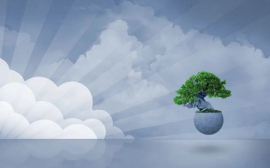 عکس ذهن آرام و بونسای با طراحی مینیمال و کیفیت عالی