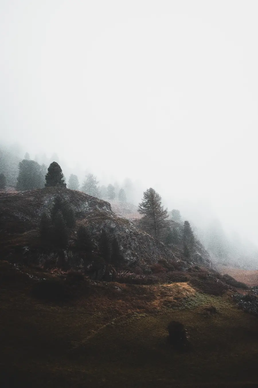 تصویر کوهستان و درختان با کیفیت بالا برای والپیپر