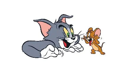 زیباترین عکس Tom and Jerry با کیفیت 8K