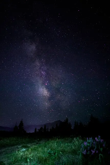 عکس شب پرستاره با کهکشان راه شیری و رنگ بنفش با کیفیت بالا