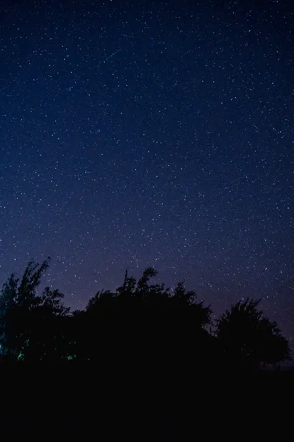تصویر با کیفیت بالا از آسمان شب و درخت برای زمینه موبایل