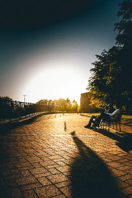 تصویر سایه شخص در نور خورشید با کیفیت HD