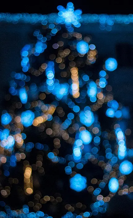 عکس کریسمس در ایران