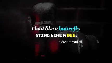 عکس بوکس با پس زمینه تاریک و کیفیت 5K برای والپیپر