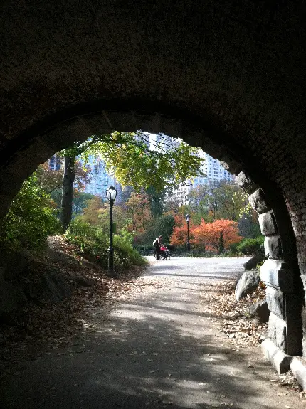 عکس آسمان شب با ماه و ستاره