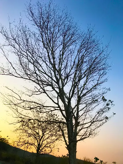 عکس منظره طبیعی بیابانی با کیفیت بالا برای والپیپر