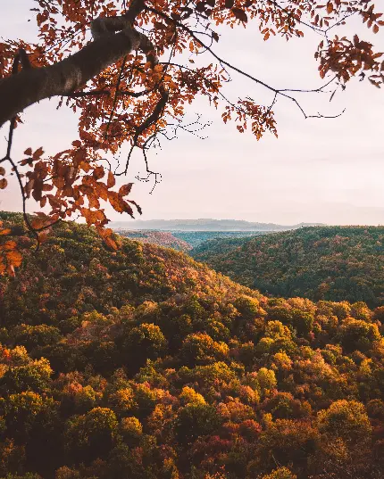 عکس غروب زیبا برای پروفایل