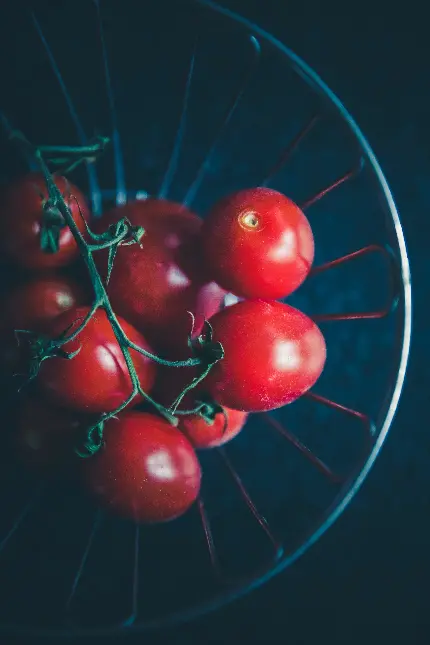 عکس گوجه فرنگی در سبد سیمی با پس زمینه تیره و کیفیت بالا