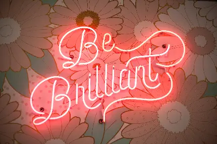 be-brilliant-neon-light-floral-signage-pink-light-5k-5616x3744-6377