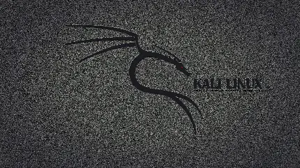 والپیپر اژدهای Kali Linux با کیفیت فول اچ دی