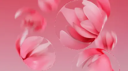 تصویر گل‌های گیلاس با کیفیت 5K برای تخته شاسی