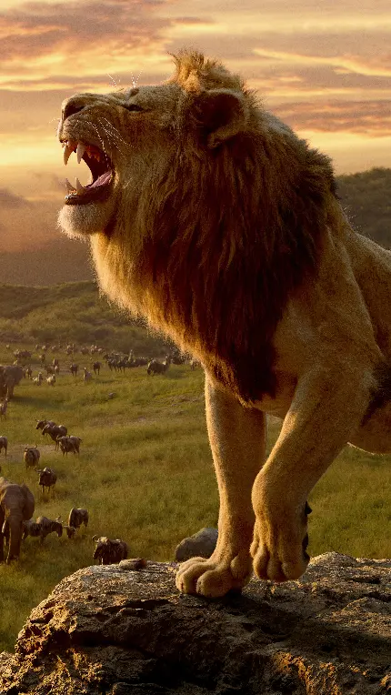 تصویر فیلم The Lion King 2019 مخصوص چاپ قاب آیفون با کیفیت HD
