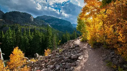 تصویر مسیر جنگلی کوهستانی در پاییز با کیفیت 4K و HD