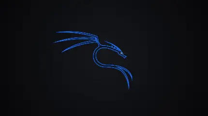 لوگو کالی لینوکس با پس زمینه تاریک کیفیت فول اچ دی رایگان