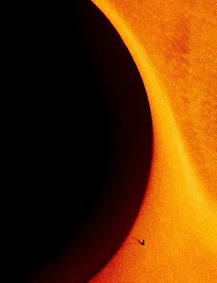 تصویر دیگر از فیلم Dune با کیفیت بالا
