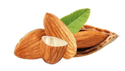 عکس PNG بادام دوربری شده با کیفیت فوق العاده و رایگان